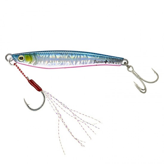 Molix Jugulo Plus Casting Jig 60 gr col #249 Spring Sarda Molix Jugulo Plus Casting Jig 60 gr col #249 Spring Sarda