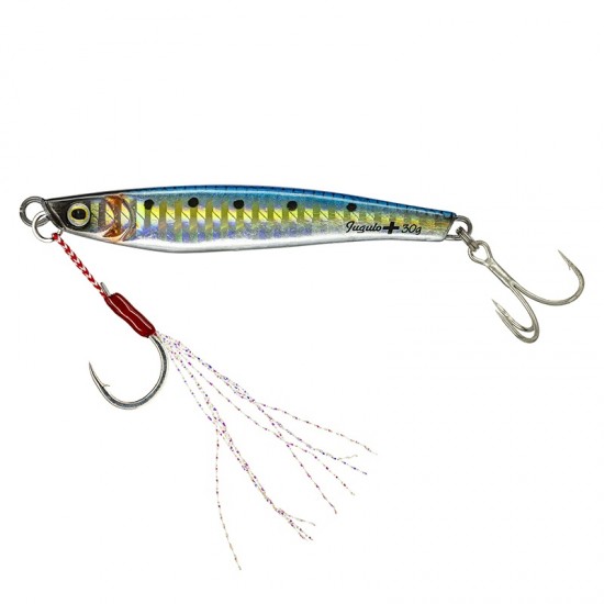 Molix Jugulo Plus Casting Jig 80 gr col SW19 Real Sarda Molix Jugulo Plus Casting Jig 80 gr col SW19 Real Sarda