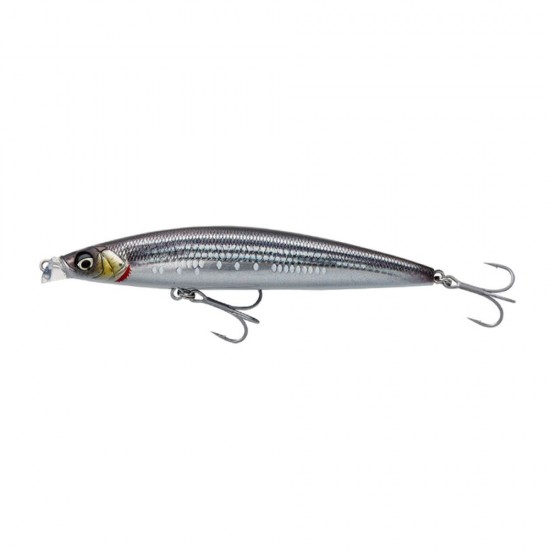 Savage Gear Gravity Shallow Floating col. Mullet Savage Gear Gravity Shallow Floating col. Mullet