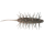 Worm Hideup Coike Shrimp Big col Dark Shrimp