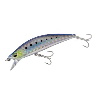 Major Craft Finetail Eden SW 60S col 02 Iwashi