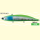 PALMS ARK VIB 115 31 gr col BS-PL067