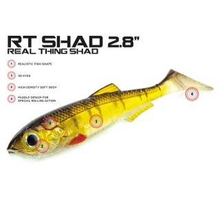 MOLIX RT SHAD 2,8'' col BLUE BACK HERRING