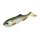 MOLIX RT SHAD 2,8'' col GARDON