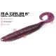 MOLIX RA GRUB 6'' col ALBURNO SHAD MOLIX RA GRUB 6'' col ALBURNO SHAD