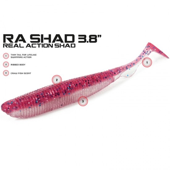 MOLIX RA SHAD 3,8'' col SAVETTA MOLIX RA SHAD 3,8'' col SAVETTA