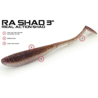 MOLIX RA SHAD 3'' col ALBURNO SHAD
