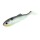 MOLIX RT SHAD 2,8'' col BLUE BACK HERRING