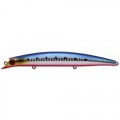 Darter