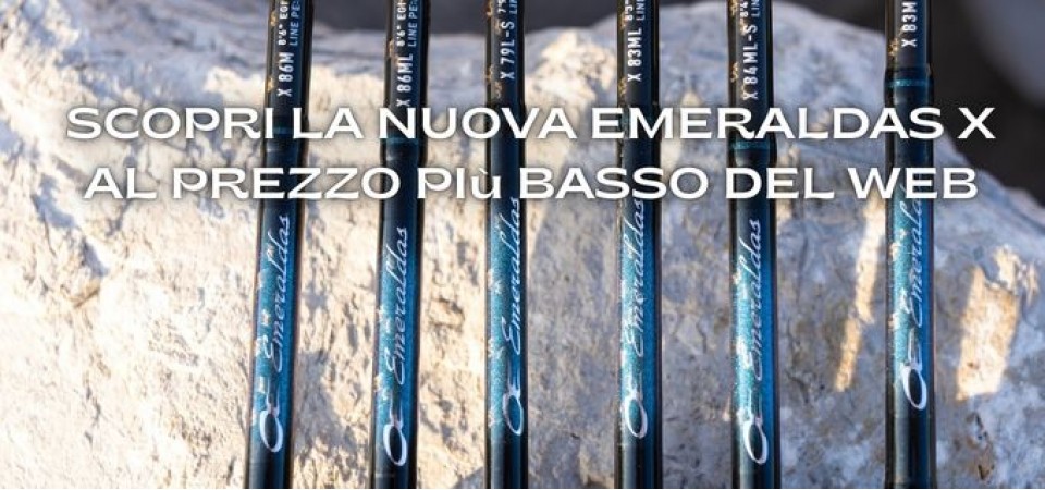 canna daiwa 25 emeraldas x