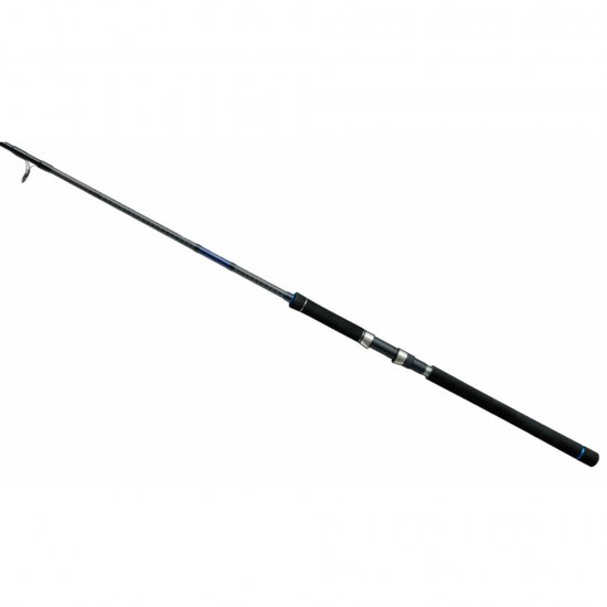 Canna Atec Crazee Shorejig S902H 60 gr Canna Atec Crazee Shorejig S902H 60 gr
