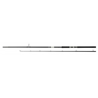 CANNA ATEC CRAZEE SHORE JIG LIMITED 1002XH 3.05 mt 100 gr  CANNA ATEC CRAZEE SHORE JIG LIMITED 1002XH 3.05 mt 100 gr