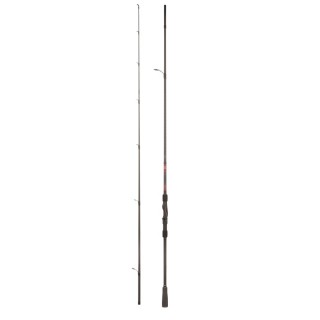 CANNA DAIWA NINJA SPIN CI 2.44 mt 10-30 gr