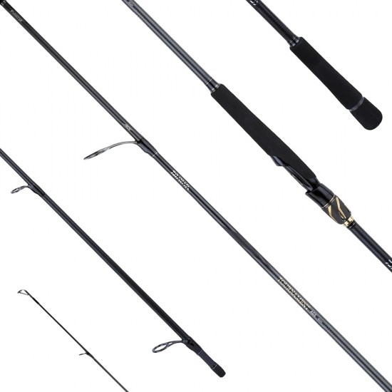 Canna Daiwa 23 Tournament AGS Spin 2.44 mt 15-50 gr