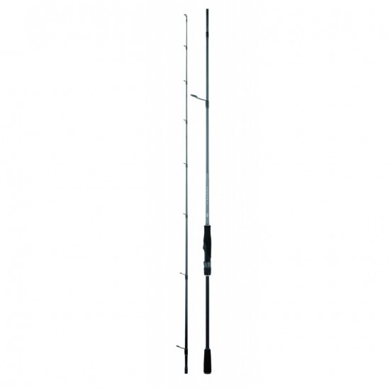 Canna Daiwa 25 Exceler Spin 802H 2.44 mt 15-50 gr