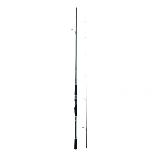 CANNA DAIWA LEGALIS SQUID 832M-BI 2.51 mt 2.0 - 3.5 egi max CANNA DAIWA LEGALIS SQUID 832M-BI 2.51 mt 2.0 - 3.5 egi max