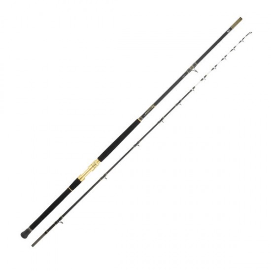 CANNA DAIWA TANACOM DEEP BI 2.50 mt 200-1500 gr CANNA DAIWA TANACOM DEEP BI 2.50 mt 200-1500 gr