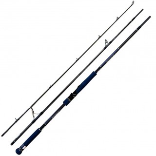 Canna Xesta Runway 96MH The Sharp Sniper 2.93 mt 80 gr max Canna Xesta Runway 96MH The Sharp Sniper 2.93 mt 80 gr max