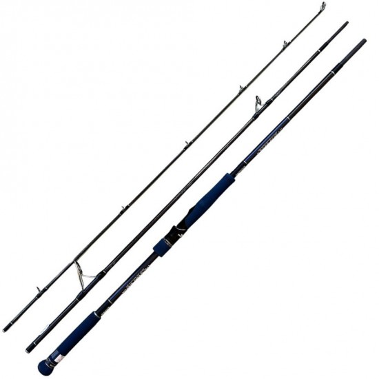 Canna Xesta Runway 96MH The Sharp Sniper 2.93 mt 80 gr max Canna Xesta Runway 96MH The Sharp Sniper 2.93 mt 80 gr max