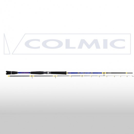 Canna da pesca Colmic Hokusai Spinning 8' 200 gr Canna da pesca Colmic Hokusai Spinning 8' 200 gr