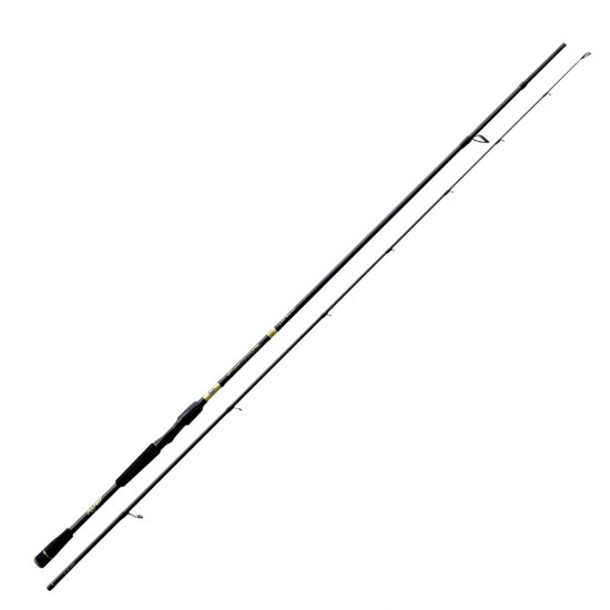Canna Lineaeffe Rapid Strong Spinn 2.40 mt 15-50 gr