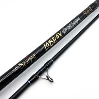 Canna Seaspin Labrax Shore Jigging 10' ft 15-100 gr Canna Seaspin Labrax Shore Jigging 10' ft 15-100 gr