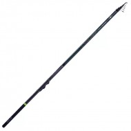 Canna Sele Amarante 6.00 mt Canna Sele Amarante 6.00 mt