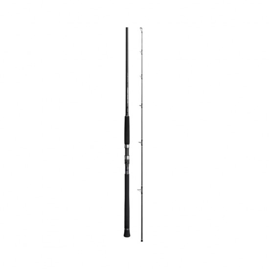 Canna shore jigging Shimano Currentsniper XR 3.05 mt 70 gr