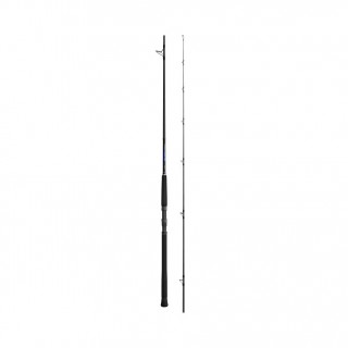 Canna Shimano Currentsniper BB 3.05 mt 100 gr Canna Shimano Currentsniper BB 3.05 mt 100 gr