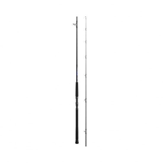 Canna Shimano Currentsniper BB 3.05 mt 100 gr