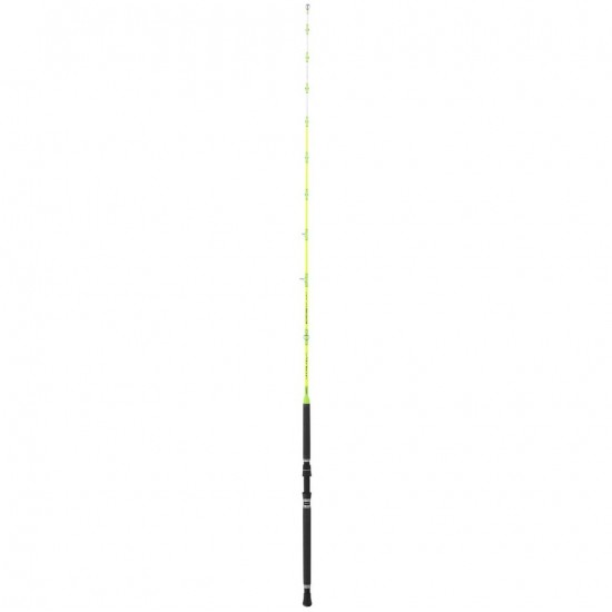 Canna Tubertini Vitality II 2.10 mt 6-12 lb Canna Tubertini Vitality II 2.10 mt 6-12 lb