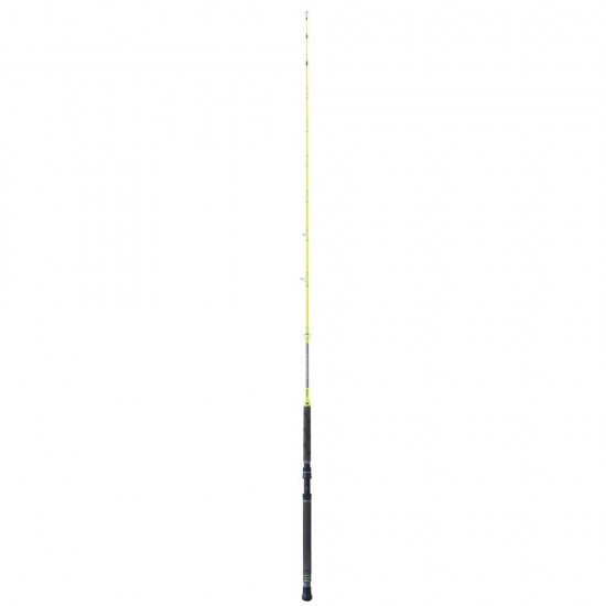 Canna Tubertini Vitality III 2.10 mt 12-20 lb