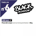 TAGLIA 6