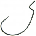 WORM