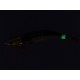 Egi Daiwa Emeraldas Amorous Joint 3.0 col HOLO REAL IWASHI