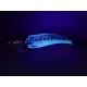 Egi Daiwa Emeraldas Amorous Joint 3.0 col HOLO REAL IWASHI