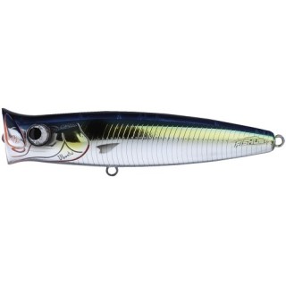 Lurenzo Ubuntu col Chrome Pilchard Lurenzo Ubuntu col Chrome Pilchard