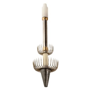 Totanara profondità luce sopra 2 corone 450 gr