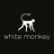 White Monkey