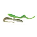 Worm